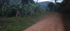 100x100ft Plot - Kyengera